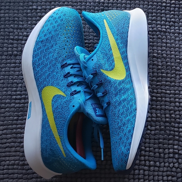mens nike zoom pegasus 35